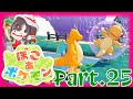 【実況】ついに空を自由に飛べる？！空島で島渡り-ぽこ あ ポケモン-【Part.25】