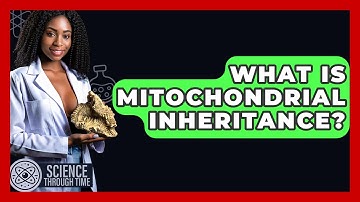 What Is Mitochondrial Inheritance? - Science Through Time