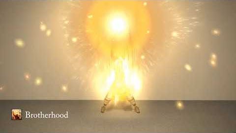 FFXIV Monk Skills - Audio and Animation Reference