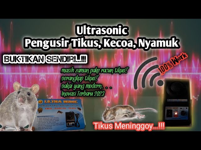 Suara Pengusir Tikus Ampuh Suara Ultrasonic Pengusir Tikus, Kecoa dan Semut class=