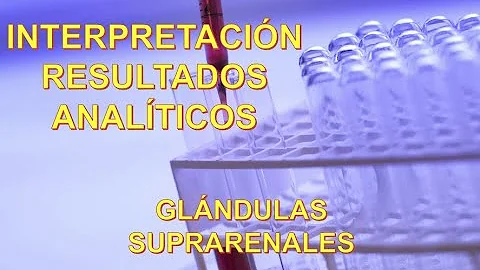 ¿Cuál es el análisis de sangre para la función suprarrenal?