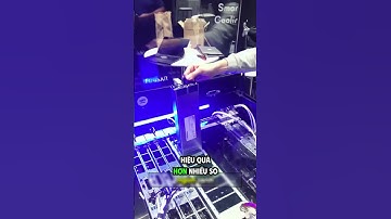 Ngâm Cả Máy Tính Vào Chất Lỏng – Và Cái Kết Bất Ngờ!  #s88bancobiet #vatly #bancobiet #khampha