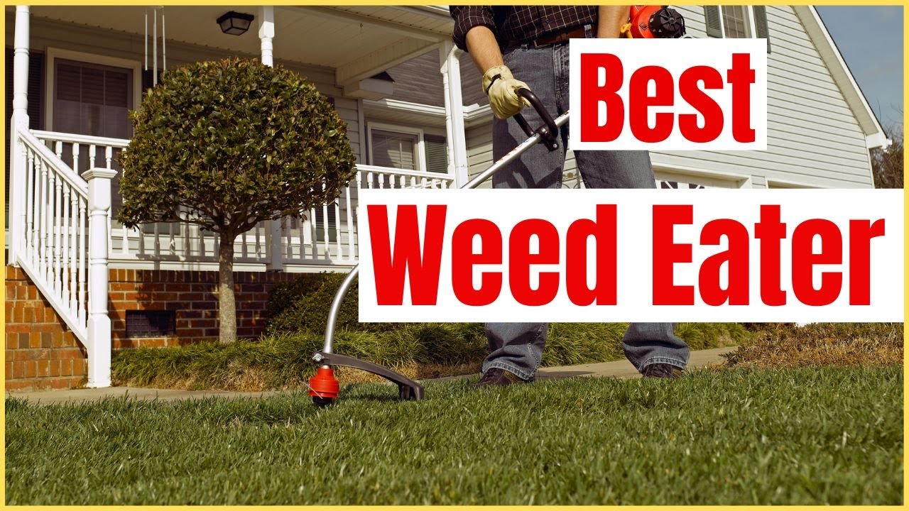 Best Weed Eater in 2022 - Top 6 Weed Eaters Review