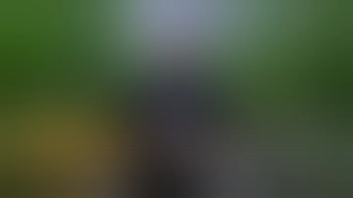 Freddy's Fuego | Rollin' on the FOHSE A3i Train | Fohse Client Testimonial