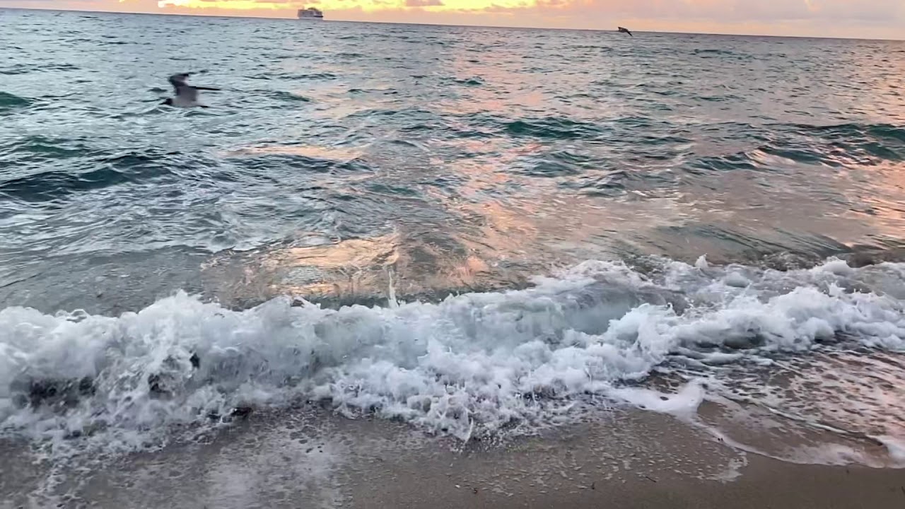 Miami 4K • Oddly Satisfying Ocean Waves to Relax 🌊🎧 (slo-mo)