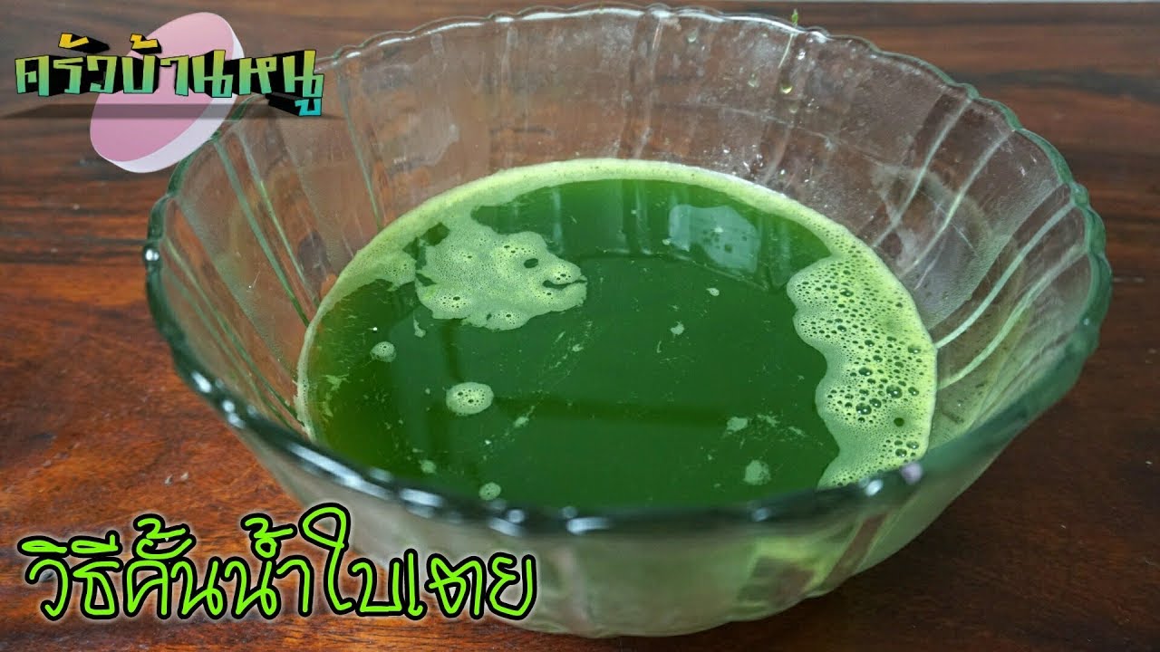 วิธีคั้นน้ำใบเตยแบบง่ายๆ | ครัวบ้านหนู - YouTube วิธีคั้นน้ำใบเตยแบบง่ายๆ | ครัวบ้านหนู - Youtube