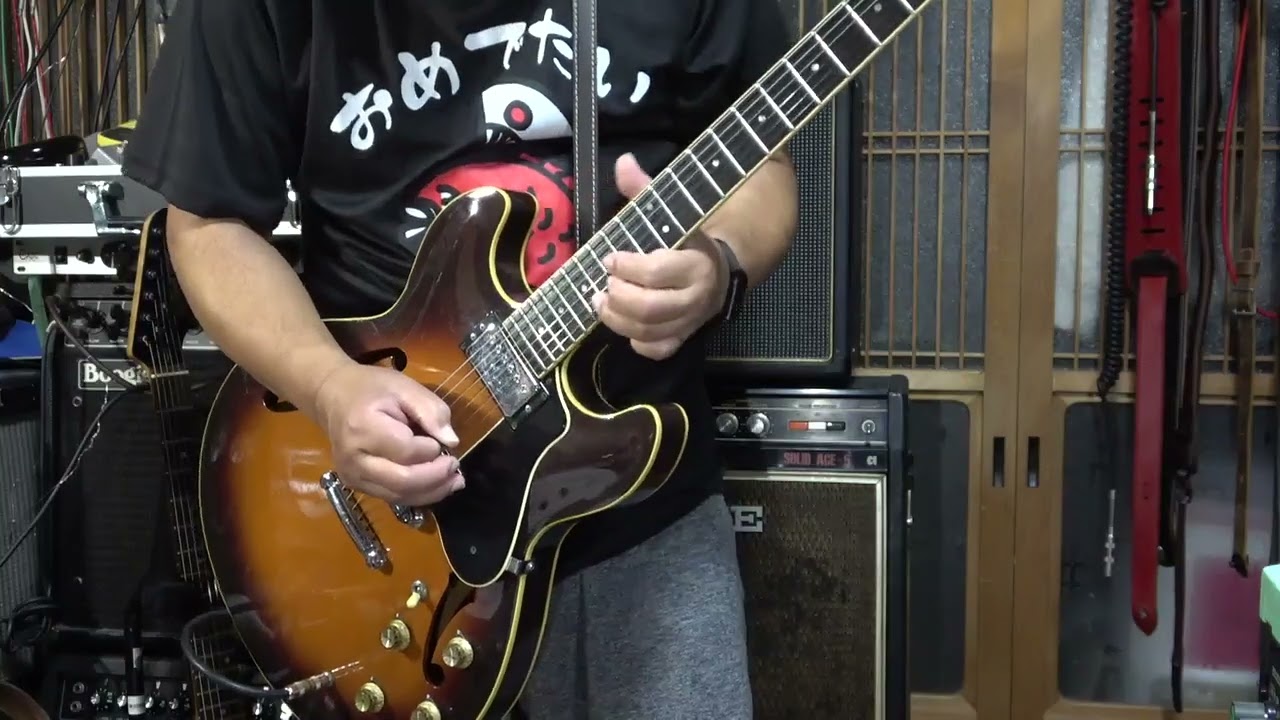 ギター FISHMAN aura junk Fishman Aura Spectrum DI Preamp | PRO-AUR-SPC | Banjo Preamp