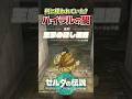 王家の隠し通路にいるスタルボコは「元ハイラル兵」闇を感じるこの場所は何に使われていた?