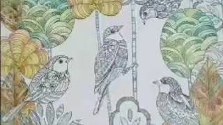 今流行の大人の塗り絵　色鉛筆画 鳥を描く　ルンパド