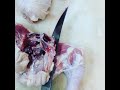 Quartering chicken