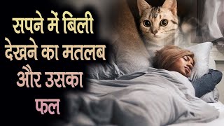 सपने में बिल्ली देखना | Sapne mein billi dekhna | seeing a cat in a dream in hindi