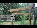 The Shinto Trellis Build - Woodworking Inspired by a Japanese Torii Gate for the Garden The Shinto Trellis Build - Woodworking Inspired by a Japanese Torii Gate for the Garden