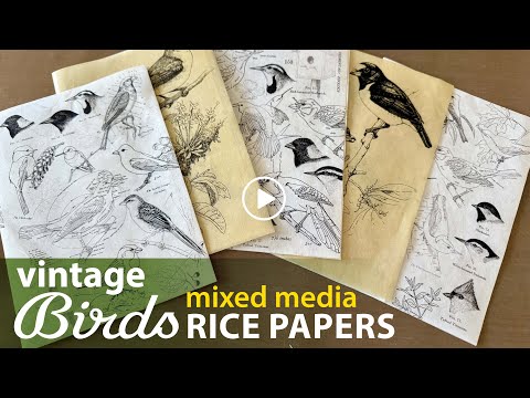 NEW Vintage Birds