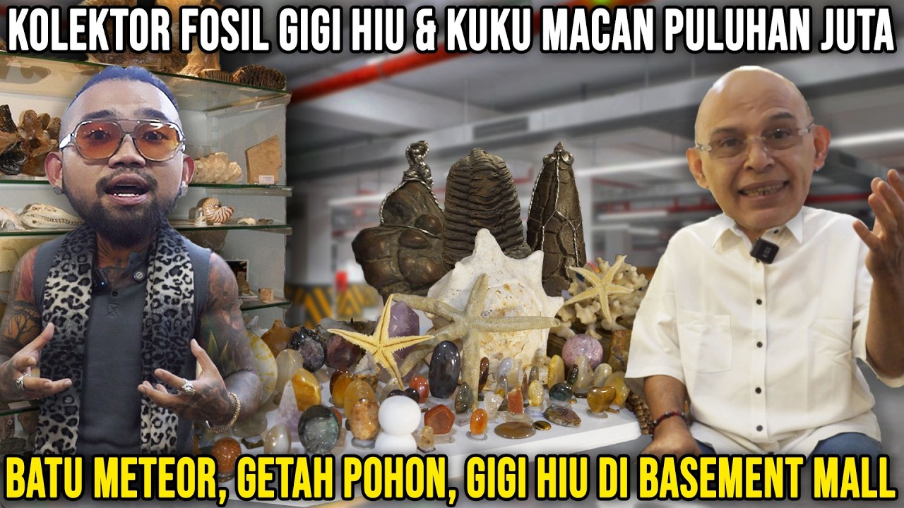 KOLEKTOR FOSIL GIGI HIU & KUKU MACAN PULUHAN JUTA. BATU MERETOR, GIGI HIU DI BASEMENT MALL. AIRUZ