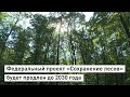 Федеральный проект «Сохранение лесов» будет продлен до 2030 года.
