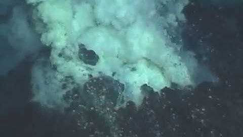 Mariana SRoF 2006 NW Rota-1 Brimstone #13