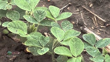 Iron Talk #842 - Sprayer Cleanout (Air Date 5/25/14)