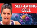 Autophagy selfeating cell what you need to know  dr mindy pelz