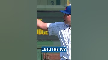 Ian Happ goes into the ivy to make the catch!