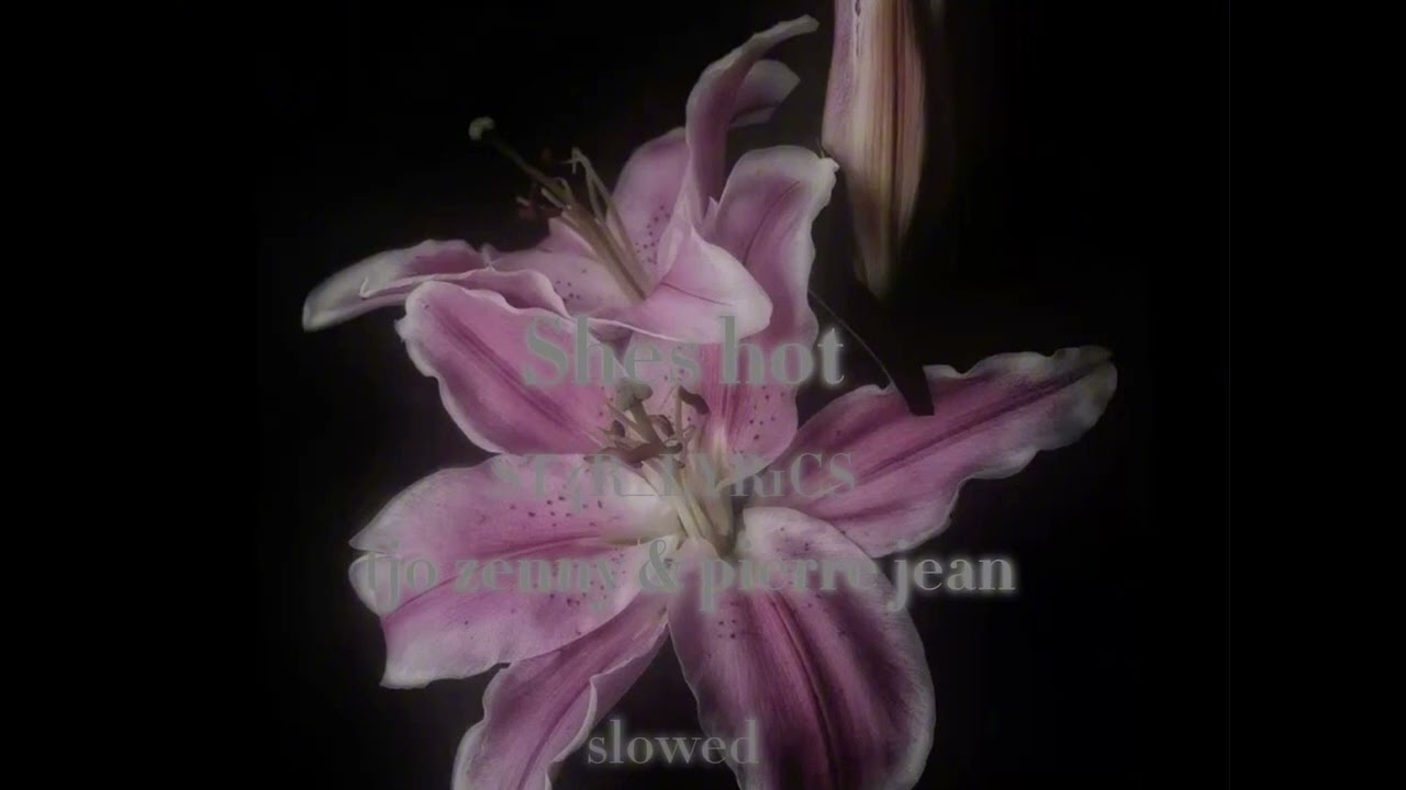 shes hot - pierre jean ft tjo zenny