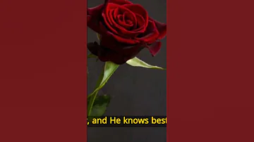 Surah Al An Am Chapter 6 Quran Surah Al Anam Trending Shorts Viral Https Www Naveedsattar Com 