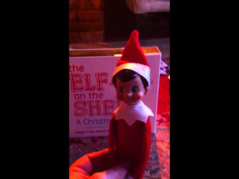 The elf on the shelf tradition begins!