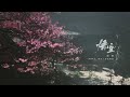‘戒网’ - Black Myth: Wukong OST
