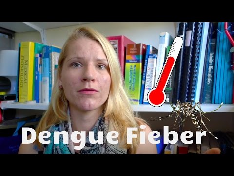 Dengue Fieber | Symptome und wann soll man zum Arzt?