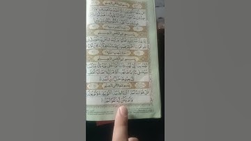 #سورة_الإخلاص #ikhlas #egzonibrahimi #birds #deeplines #onthisday #stitch #poetry #love #ilyasjalali