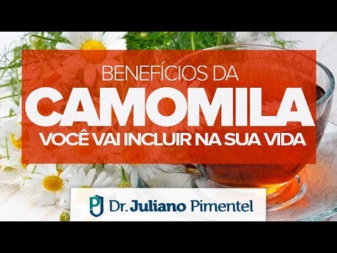 CAMOMILA - Os Seus Incríveis Benefícios Para a Saúde! | Dr. Juliano Pimentel