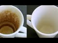 Remove yellow stains from plates and cups in just 5 minutes