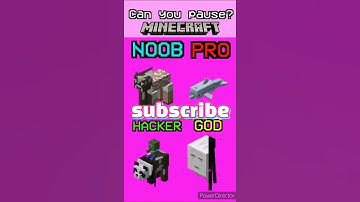 can you pause 1 time noob pro hacker god ||  Minecraft shorts