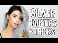 HOW I GOT / MAINTAIN SILVER HAIR! TIPS, TRICKS + HAIR UPDATE