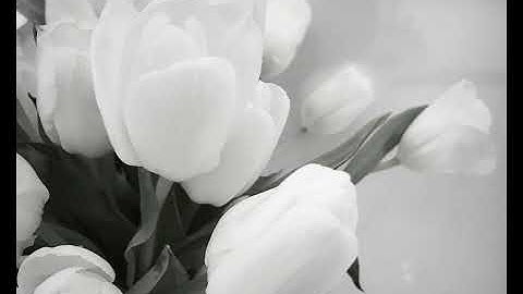 Inspire   Made with Clipchamp