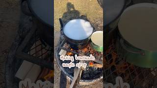 Making homemade maple syrup 🍁 #maplesyrup #homemade #sap