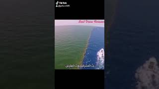 Surah Rahman Qari Abdul Basit