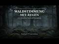 🌲Waldstimmung mit Regen 🌧️ 2,5 Stunden Reinigung, Ruhe & Naturklänge🖤 Ravenheart Meditation