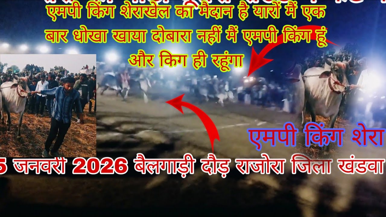 शेर और हर्निया की जोड़ी एक बार धोखा खाया दोबारा नहीं मैं एमपी किंग हूं और किग ही रहूंगा