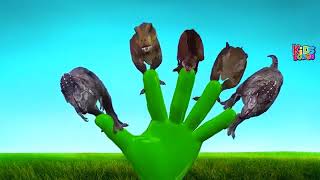T Rex Finger Family Song