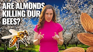 ALMOND | How Does it Grow? (Part I) by TRUE FOOD TV 25,565 views 6 months ago 8 minutes, 34 seconds