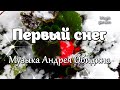 Первый снег - Музыка Андрея Обидина. Музыка для души.