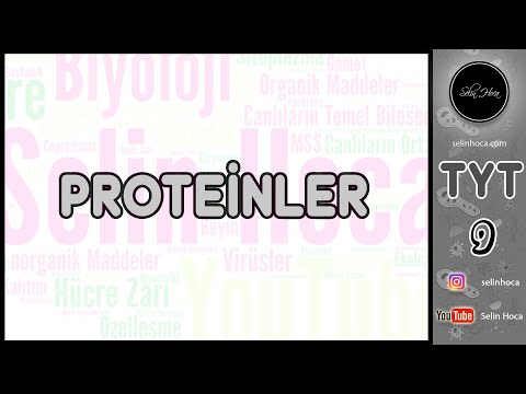 5) Proteinler