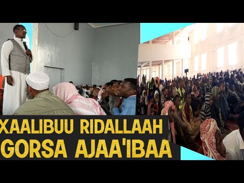 JTD MEDIA TUBE Xaalibuu Ridallaah Gorsa Ajaa Ibaa Itti Dhiyaadhaa