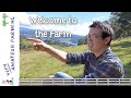 Welcome to the farm  an introduction to our tasmanian tree change