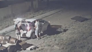 Celebrity SURVEILLANCE VIDEO: Camera catches group illegally dumping in Phoenix Net Worth
