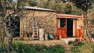 We’re getting ready for a hot summer 🥵🌞 Off Grid Cottage in Central Portugal.