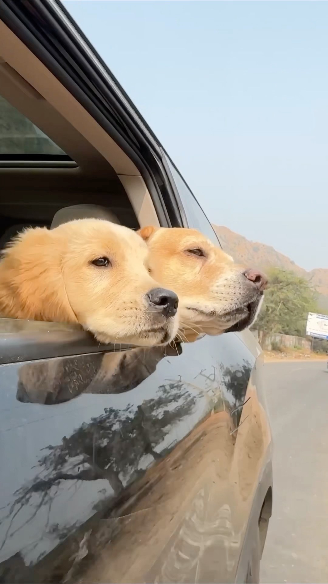 Trip to rajasthan? #shorts | Anant Rastogi