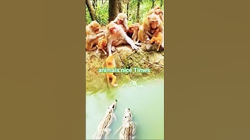 animals All animals are created equal Wonderful animals#funnyanimal