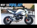 Here's Why You Need to Buy a Honda Grom... Ride, Review