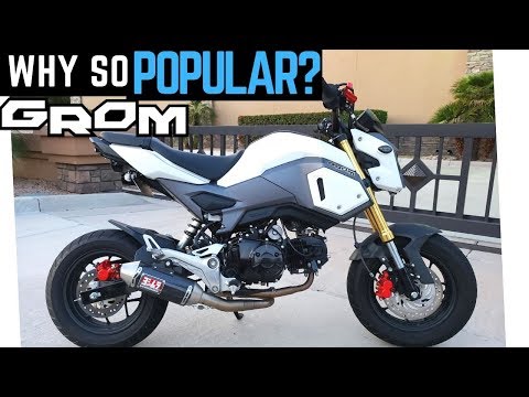 Here&#39;s Why You Need to Buy a Honda Grom... Ride, Review